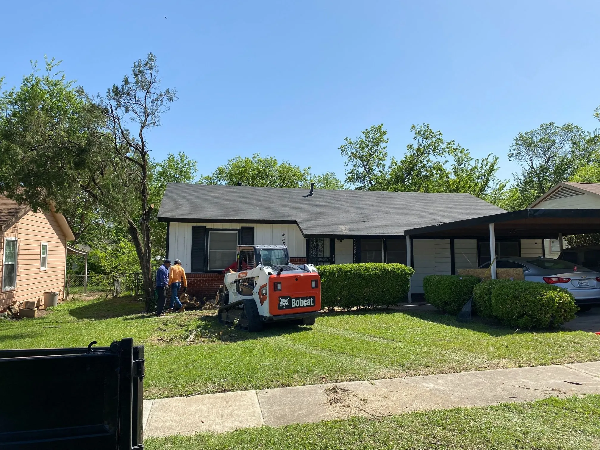 Texas Tree Service team at work.